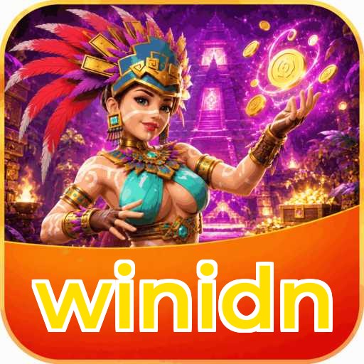 Troubleshooting winidn